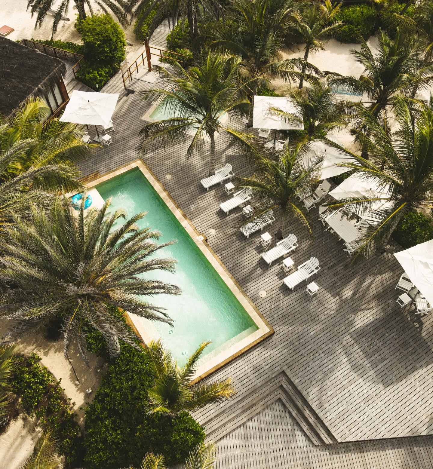 Pool and resort scene